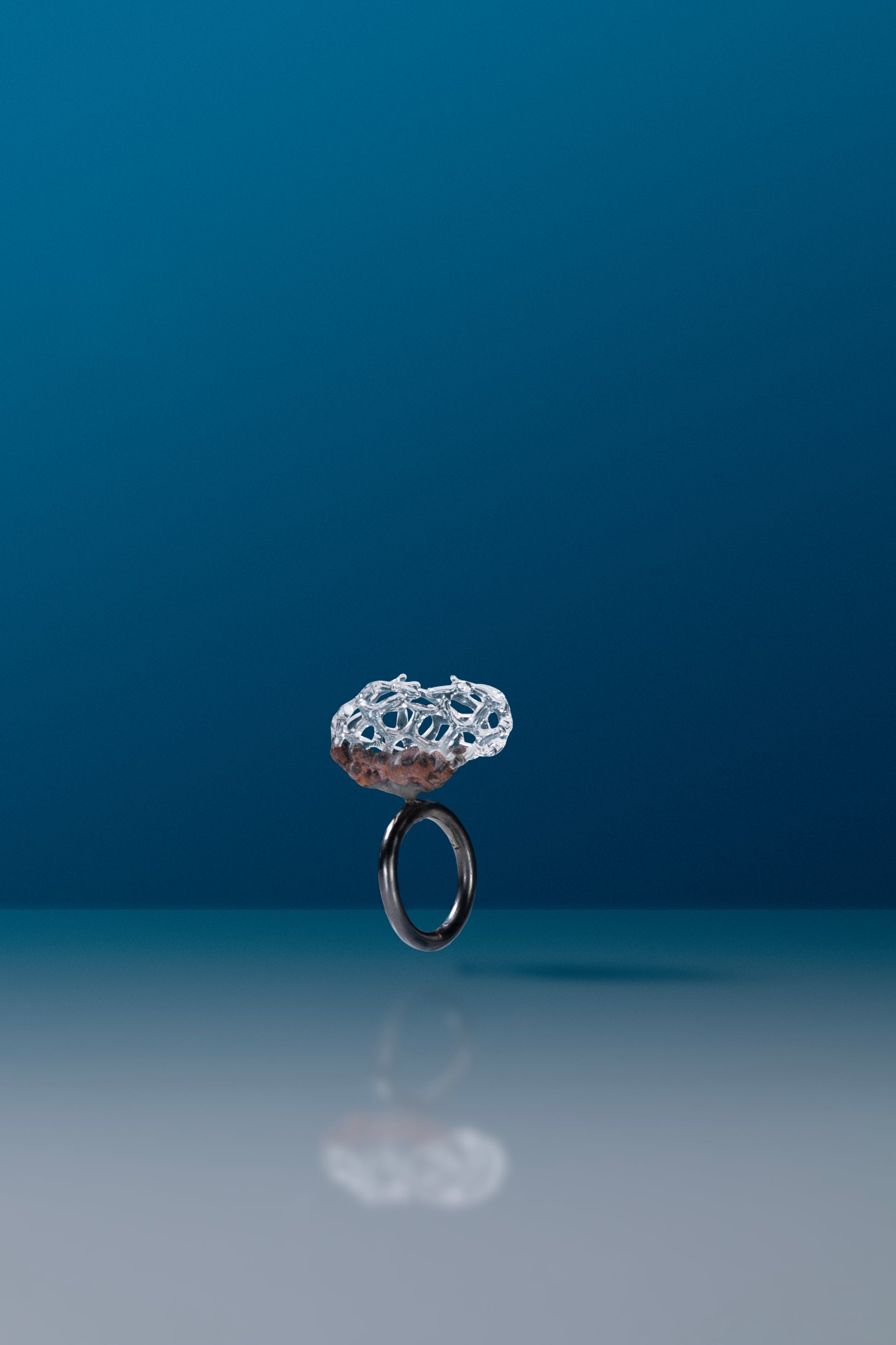Microcosmic Majesty Ring #5 by Suri and Simone Crestani