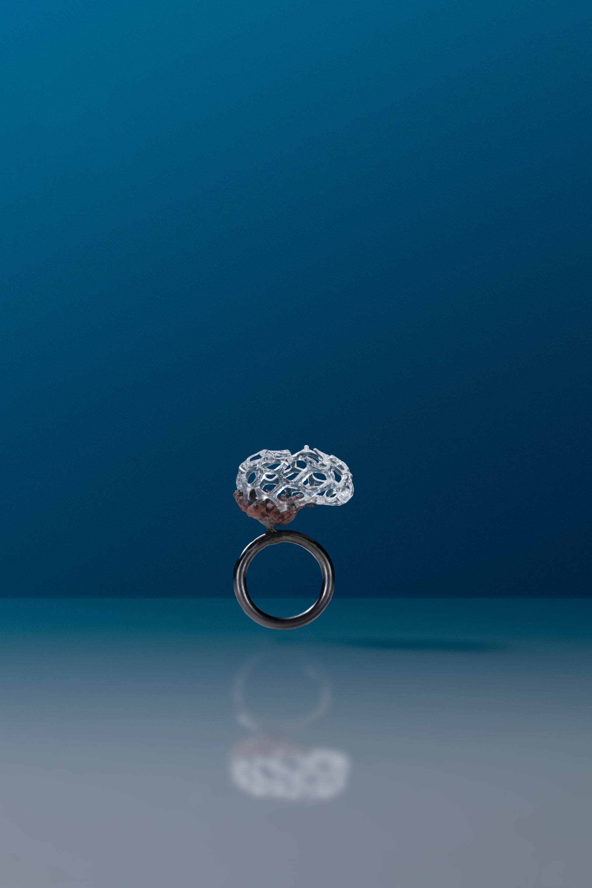 Microcosmic Majesty Ring #5 by Suri and Simone Crestani