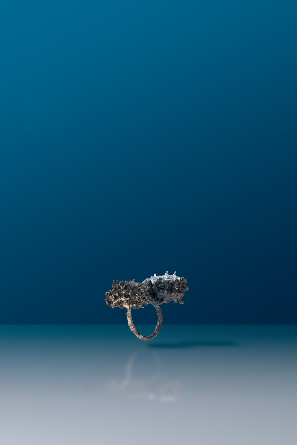 Microcosmic Majesty Ring #12 by Suri and Simone Crestani