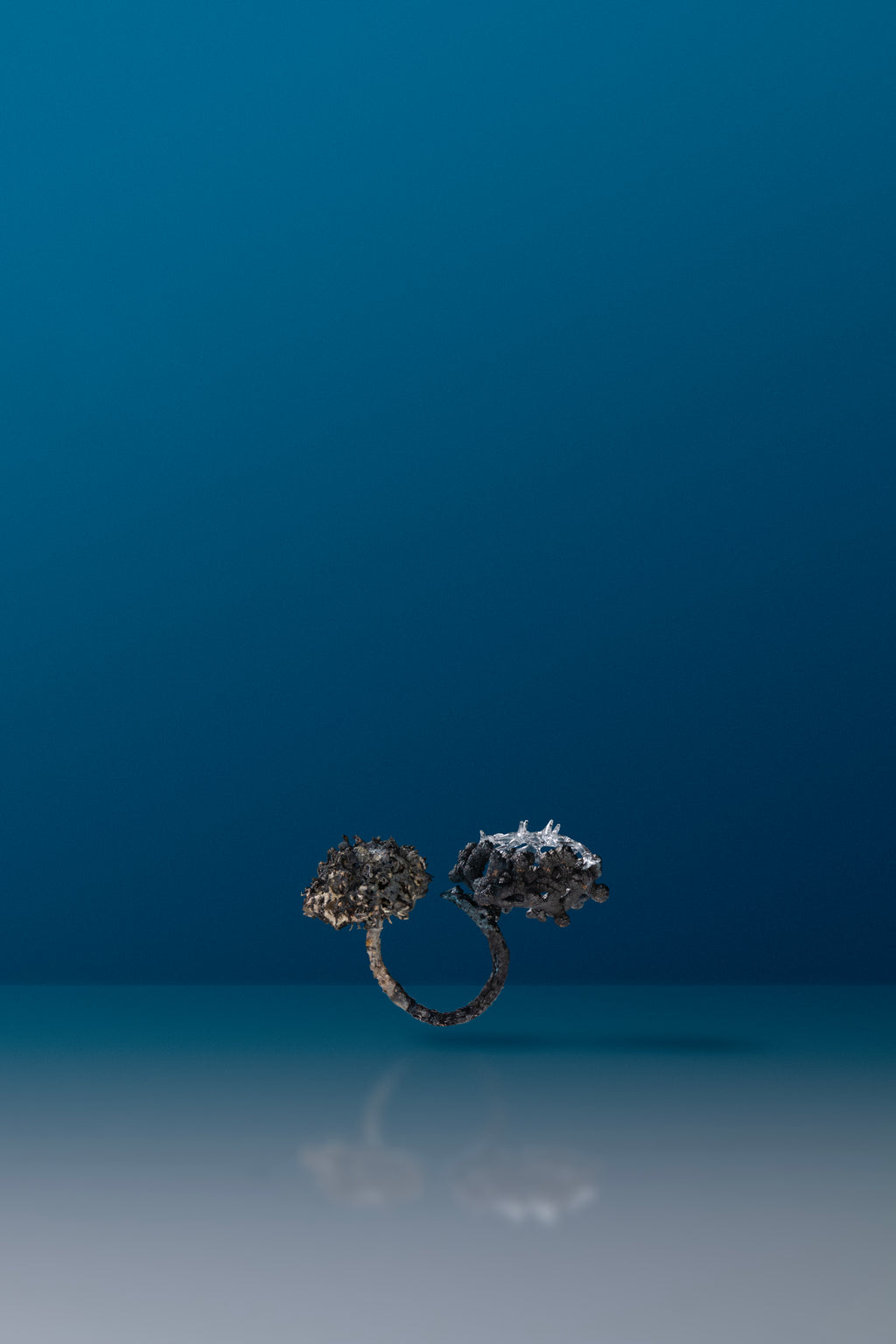 Microcosmic Majesty Ring #12 by Suri and Simone Crestani