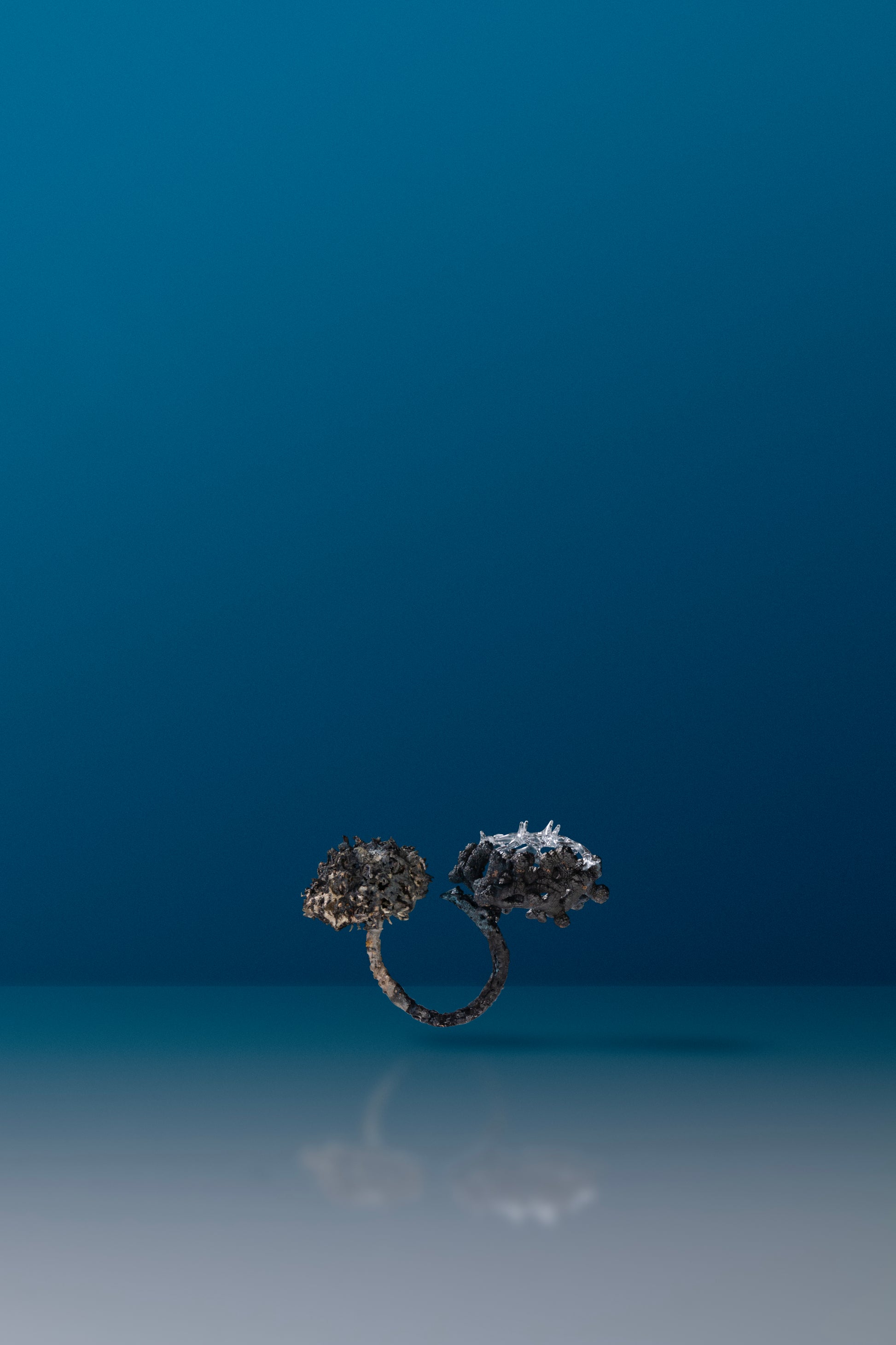 Microcosmic Majesty Ring #12 by Suri and Simone Crestani